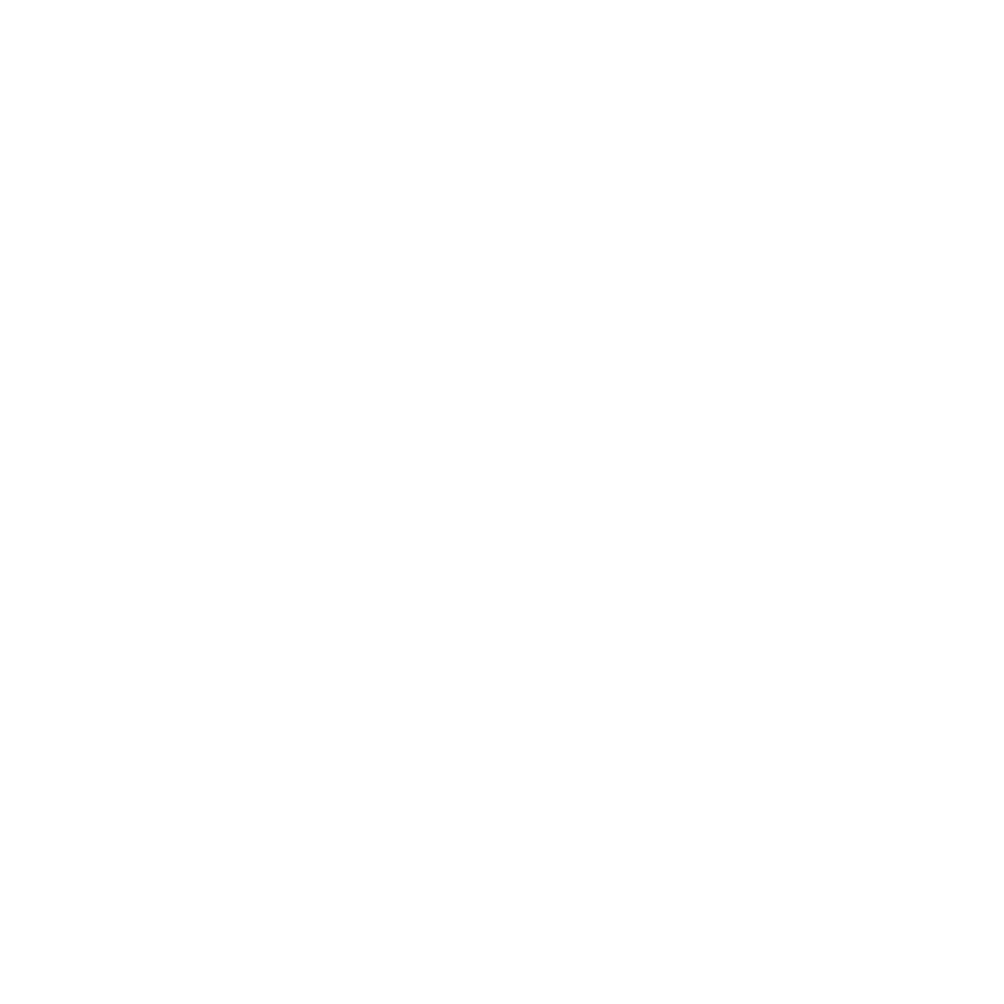 Havana-Logo-weiss.png