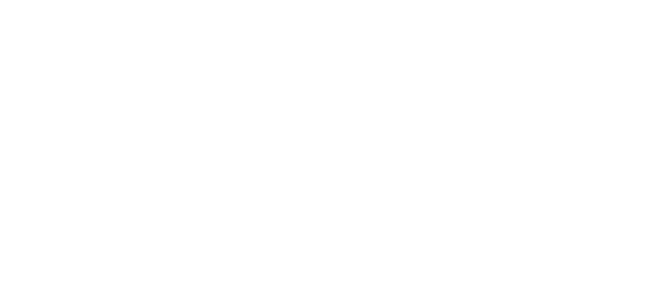 Dsire_logo_ez_NEU_weiss